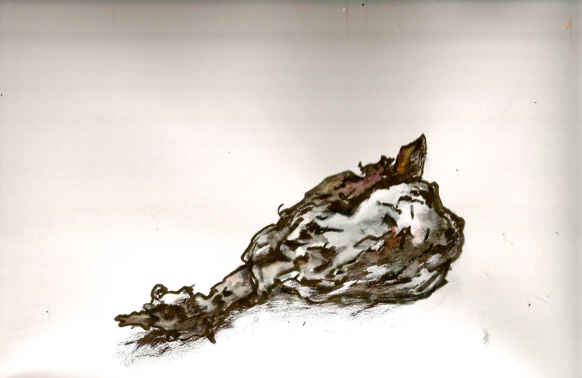 Existence/2010-12_POTATORESEARCH/Media/03_Potato_series_04.jpg