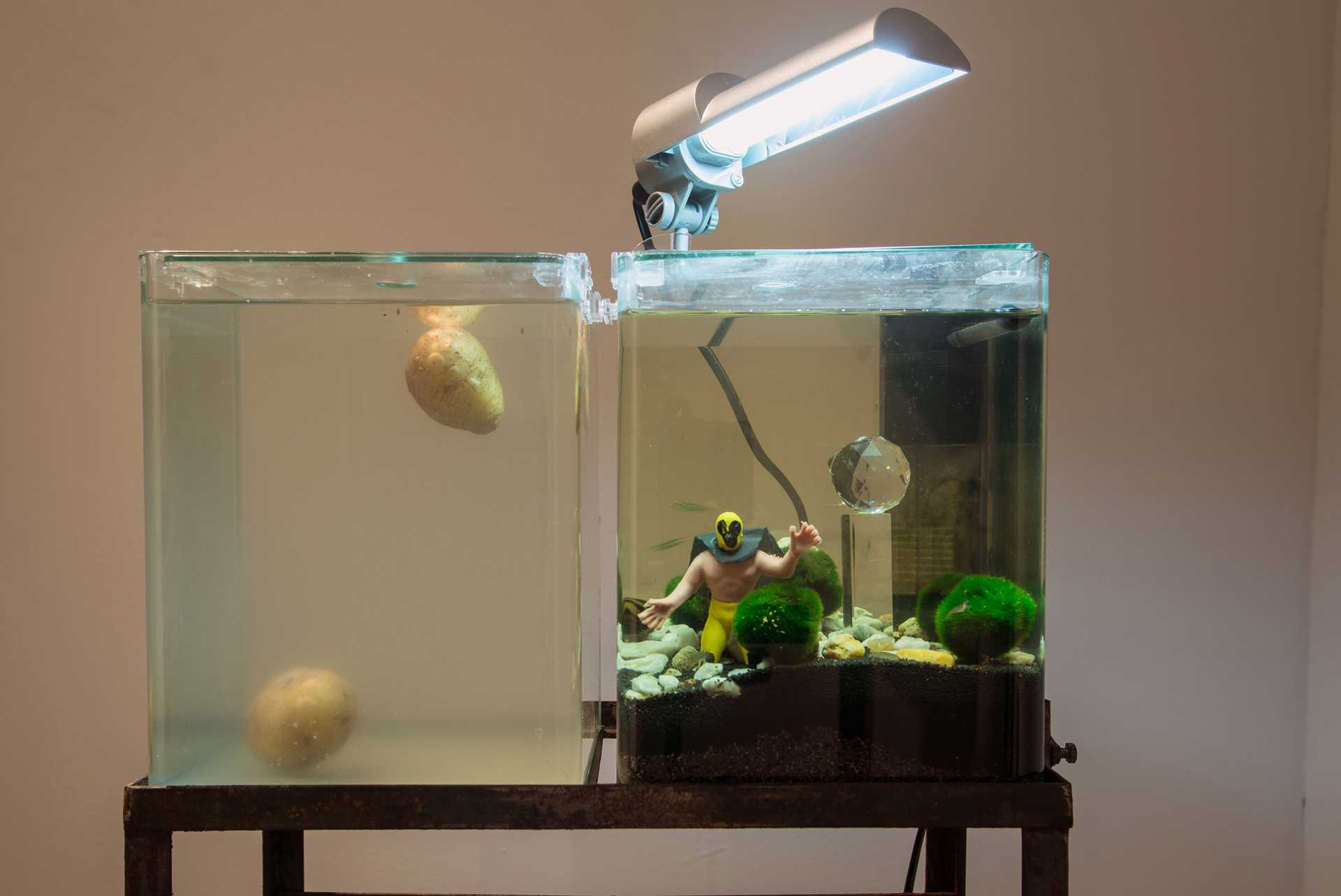 Existence/2010_FISHANDCHIPS/Media/01_Fish_And_Chips.jpg