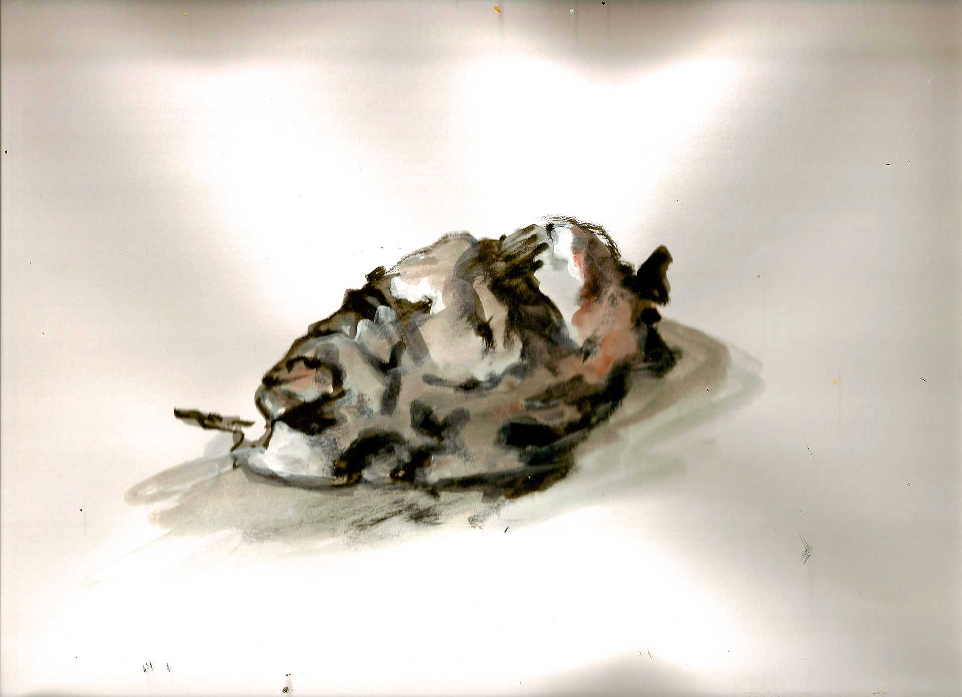 Existence/2010-12_POTATORESEARCH/Media/03_Potato_series_02.jpg