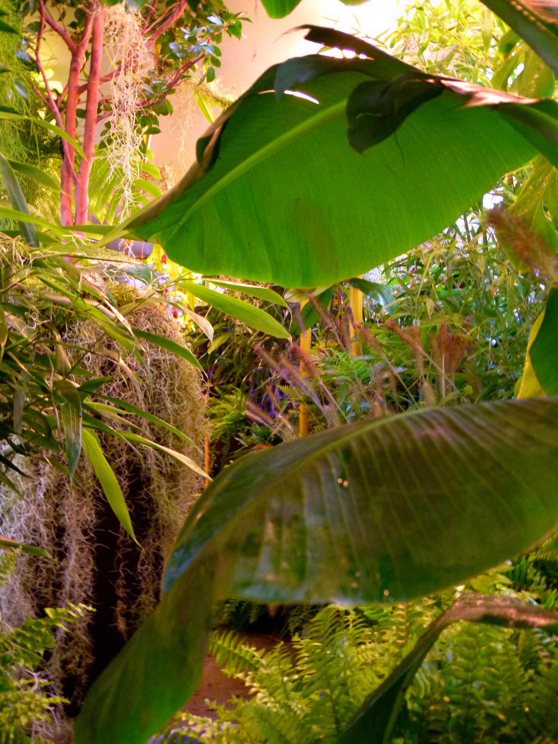 Environment/2011_METROTOPIE/Media/03_Metrotopie_series_02.jpg