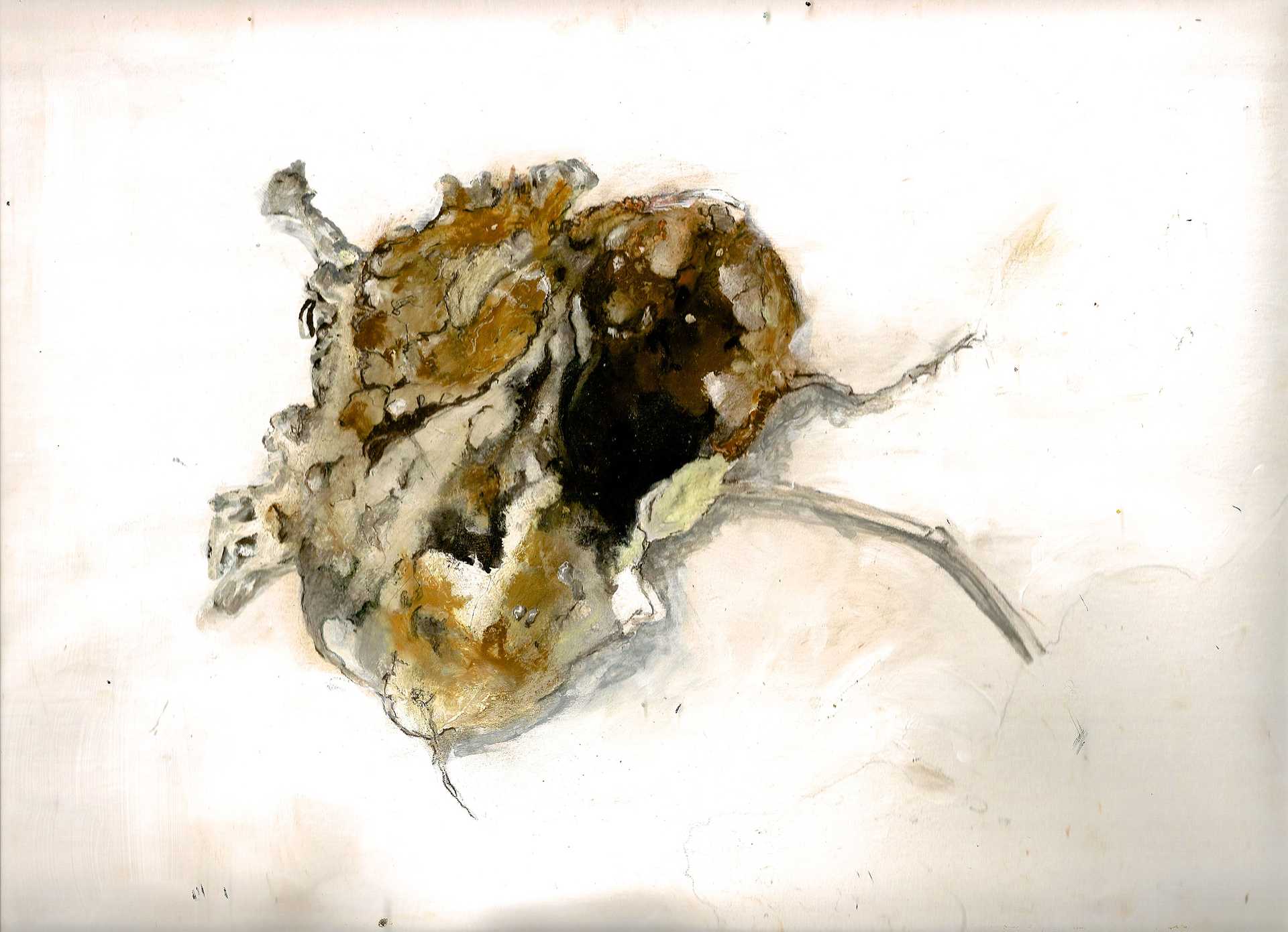 Existence/2010-12_POTATORESEARCH/Media/03_Potato_series_01.jpg